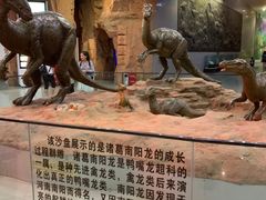 -中国西峡恐龙遗迹园