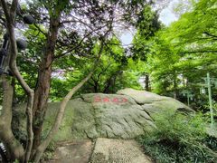 -庐山风景区花径公园