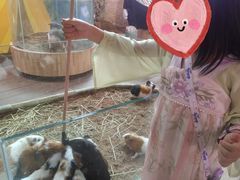 -正佳雨林生态植物园