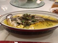 清蒸大黄鱼-三六三杭州菜(水上总店)