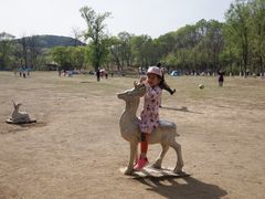 -高尔山公园