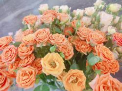 -雅曼妮spa美容养生