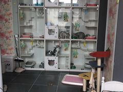 -萌兽医馆·眼科·异宠专科(三里屯店)