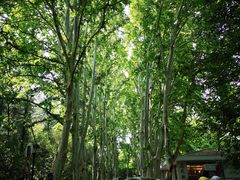 -雨花台烈士纪念馆