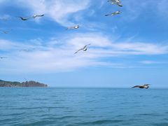 -海驴岛(荣成市)