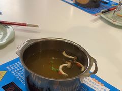 -德龙火锅(松源街直营店)