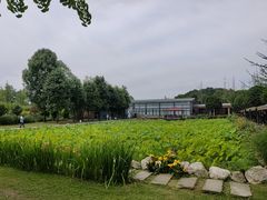-洪湖家庭农场·团建·露营·会议