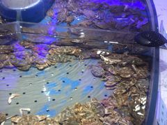 -澜悦港海鲜体验主题餐厅