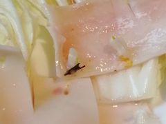 -红鼎坊·老成都火锅(新南门店)