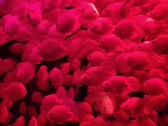 -多彩贵州城极地海洋世界