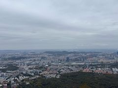 -紫金山山顶公园