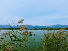 -野鸭湖国家湿地公园