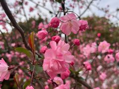 -广富林郊野公园
