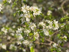 -海棠花溪(元大都城垣遗址公园)