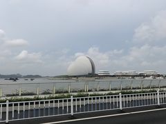 -野狸岛