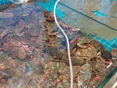 -渡海小渔村.老辈日照菜