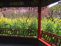 -南汇桃花村