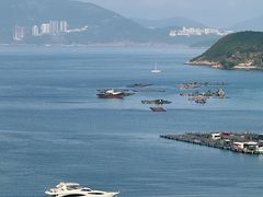 -南丫岛