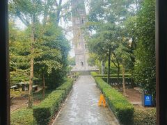 -上海佘山国家森林公园天马山园