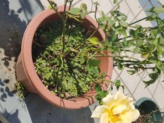 -第三空间·趣味桌游·轰趴.室内CS.剧本杀(大武汉1911店)