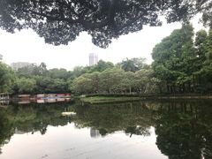 -晓港公园