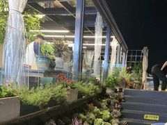 -野菌皇海景野生菌火锅(滨海大道店)