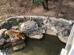 -深圳野生动物园
