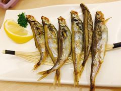 -新一番三文鱼寿司(大东海店)