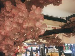 -金龙咖喱