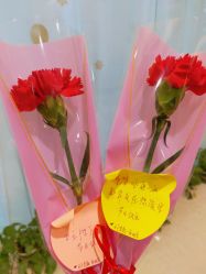 -子午孕教·孕妇瑜伽产后恢复(市北店)