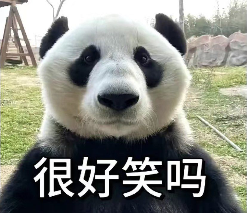 大熊猫的表情包