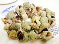 清蒸小海螺-北戴河庆山饭店·海鲜砂锅粥(北戴河黑石路店)