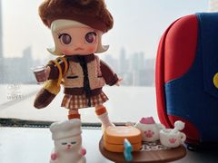 -上海雅居乐万豪侯爵酒店