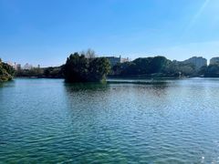 -金桥现代产业园区-停车场