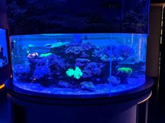 -上和臻品中国菜(花园街店)