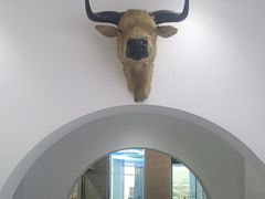 -黄牛肉馆·皖南土菜