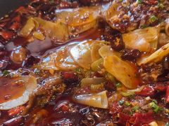 -鑫巴蜀小镇 · 水煮鱼专研店(玉桥店)
