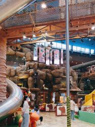 -卡通尼·Safari非洲探索乐园·生日会(金桥国际商业广场店)