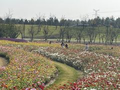 -上海滨江森林公园