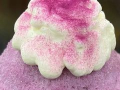 青提爆汁紫葡刨冰-糖匠(垂虹路店)