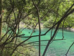 -石台牯牛降景区