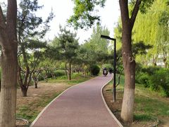 -到家尝北京菜(西坝河店)