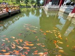 -威海华夏城景区