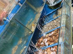 -北方饺子王·海肠捞饭·海鲜锅(山大店)