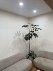 -HEYAN荷妍专业脱毛连锁机构