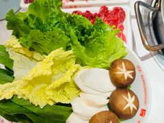 -八合里潮汕鲜牛肉火锅(深圳海岸城店)