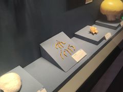 -四川大学博物馆