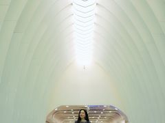-田村(地铁站)
