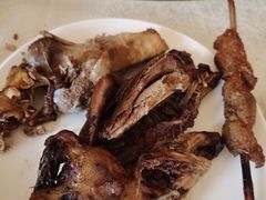 -食家鸽园