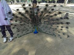 -秦皇岛野生动物园